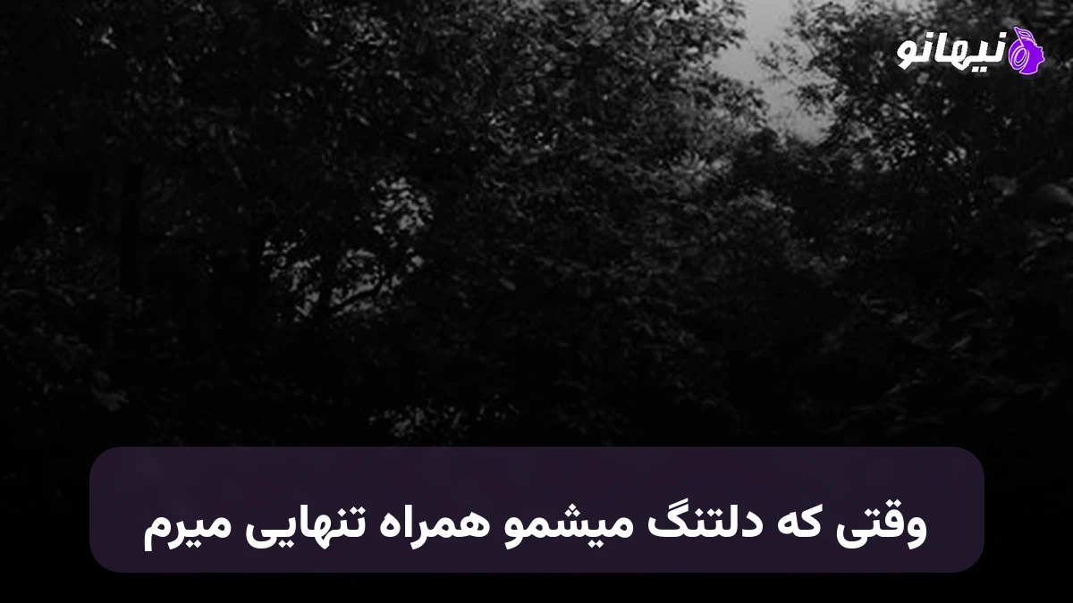 دانلود آهنگ وقتی که دلتنگ میشمو همراه تنهایی میرم صدای زن